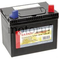 Garten und Forst Batterie 12V 30Ah