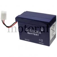 Garten und Forst Batterie 12V 3Ah