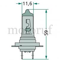 Landtechnik Halogenlampe H7