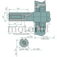 Garten und Forst Motor