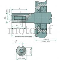 Garten und Forst Motor