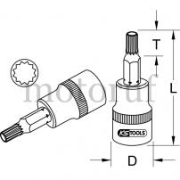 Werkzeug 3/8" Bit-Stecknuss für XZN®-Schrauben, M5