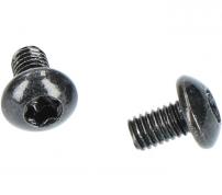 Shimano Lid Fixing Bolt (M3) 2 pcs