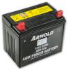 Mastercut BATTERIE 12V 24AH 210X125X185