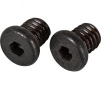 Shimano  Lever Slide Fixing Bolt (2 pcs.) A
