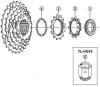 Shimano CS Cassette / Zahnkranz Ersatzteile  CS-HG30-I Cassette Sprocket 7-Speed / ac-Group