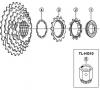 Shimano CS Cassette / Zahnkranz Ersatzteile CS-HG30-I Cassette Sprocket 7-Speed / ac-Group