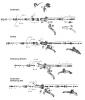 Sram  Ersatzteile XX (2010-2011) / XX WORLD CUP (2011-2014) - HYDRAULIC DISC BRAKE - LEVERS