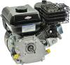 Motoren SERIE 750 Briggs & Stratton