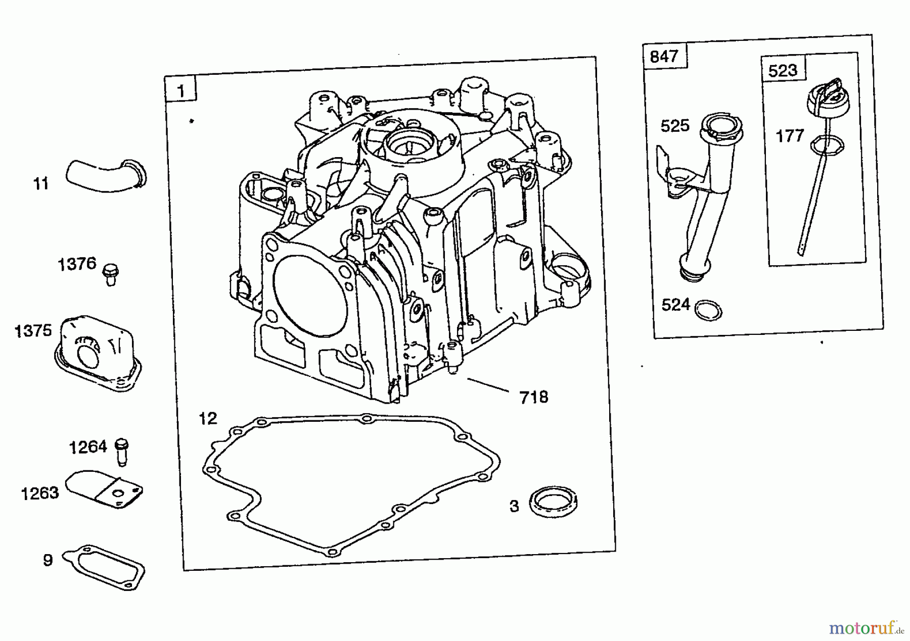  Wolf-Garten Benzinmotoren Briggs&Stratton DOV 700 E-Start 2047000  (2008) Ölmeßstab, Zylinder