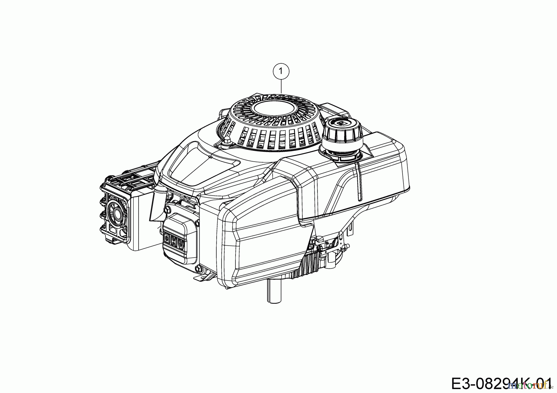  Wolf-Garten Rasentraktoren Scooter 13AW26SC650  (2019) Motor