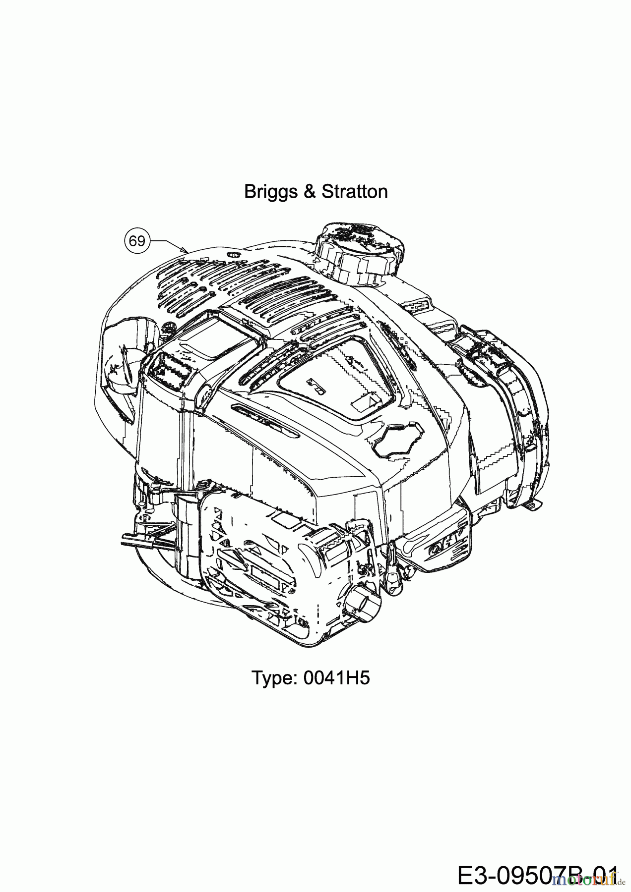  Wolf-Garten Motormäher mit Antrieb OMEGA2 46 B SP 12BBYA7F650 (2019) Motor Briggs & Stratton