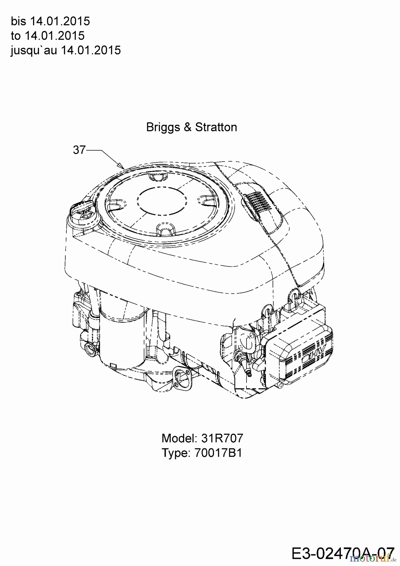 Black Edition Rasentraktoren 175-96 13HN777F615 (2015) Motor Briggs & Stratton bis 14.01.2015