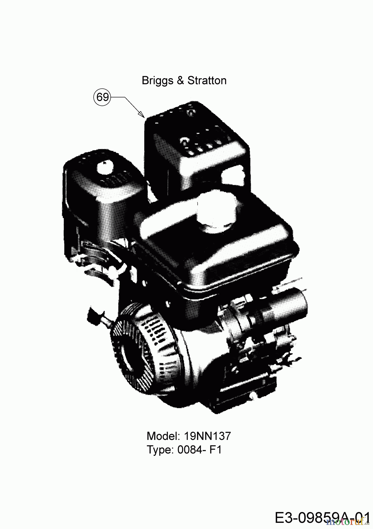  Troy-Bilt Motorhacken Big Red 20