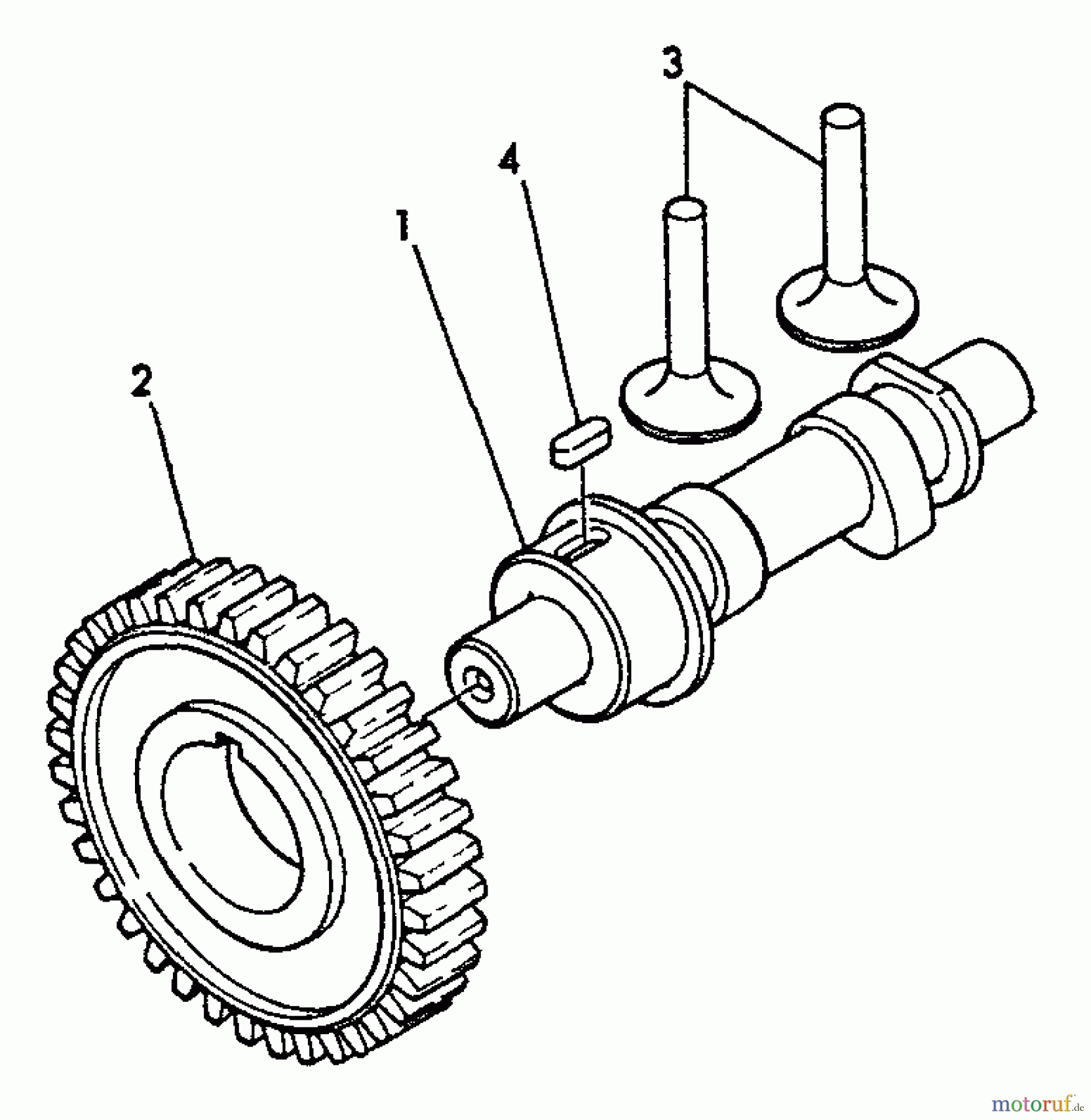  Echo Wasserpumpen TP-2000 - Echo Trash Pump Camshaft