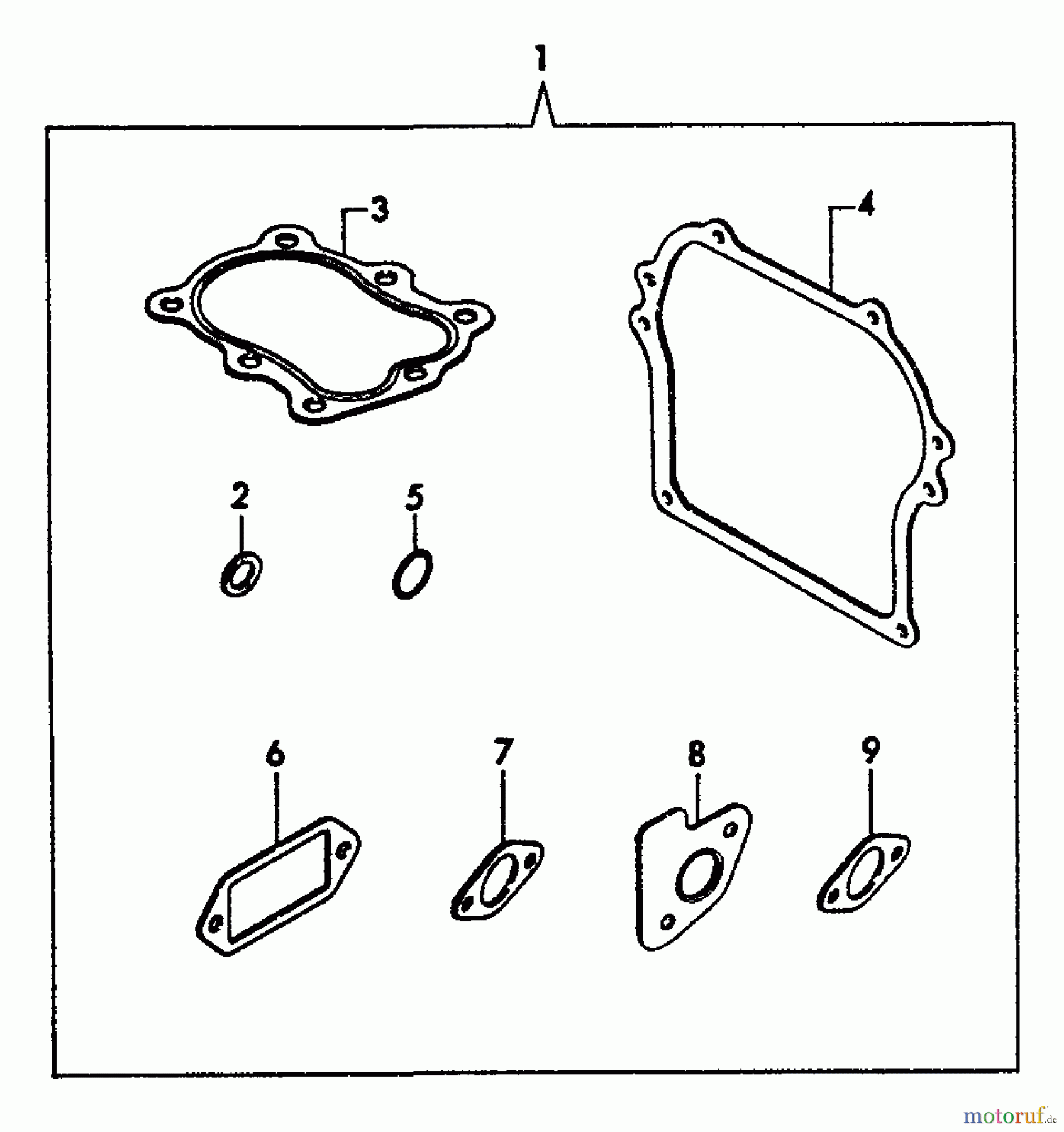  Echo Wasserpumpen TP-2000 - Echo Trash Pump Gasket Kit