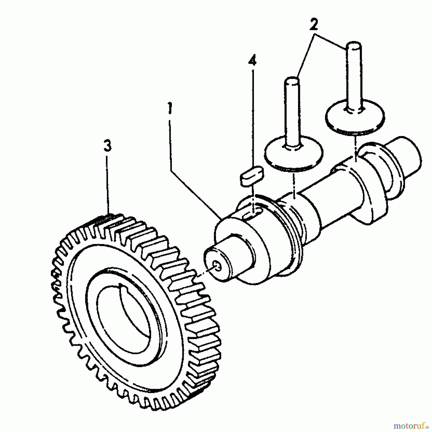  Echo Wasserpumpen TP-3000 - Echo Trash Pump Camshaft