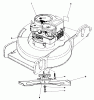 Toro 20698 - Lawnmower, 1981 (1000001-1999999) Ersatzteile ENGINE ASSEMBLY